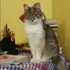 Отзыв от Алеся Жданова